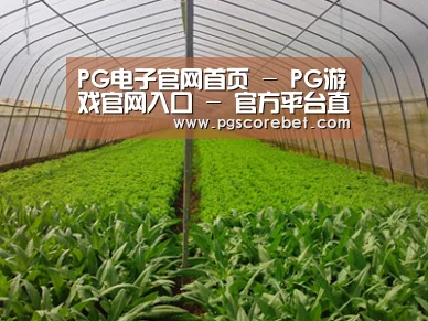 种植基地四
