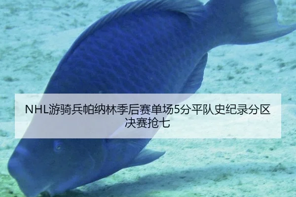 NHL游骑兵帕纳林季后赛单场5分平队史纪录分区决赛抢七