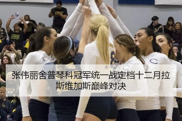 张伟丽舍普琴科冠军统一战定档十二月拉斯维加斯巅峰对决