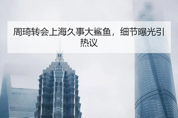 zhou-qi-zhuan-hui-shang-hai-jiu-shi-da-sha-yu-xi-jie-bao-guang-yin-re-yi-2-390.jpg